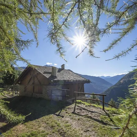Indipendente Mas Tarlenta Nel Parco Nazionale Dello Stelvio Peio